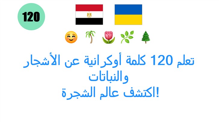 تعلم 120 كلمة أوكرانية عن الأشجار والنباتات: اكتشف عالم الشجرة!